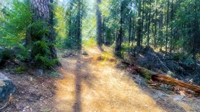 Красивая визуализация для тебя: "Весеннее утро". Позитивный настрой на день смотреть онлайн