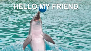 Hello My Friend (Фоновая музыка. Музыка для видео)