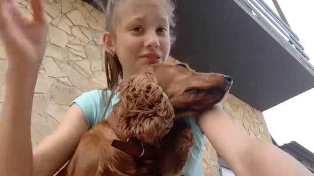 Мое первое видео!Факты обо мне и моей собаке// смотреть онлайн