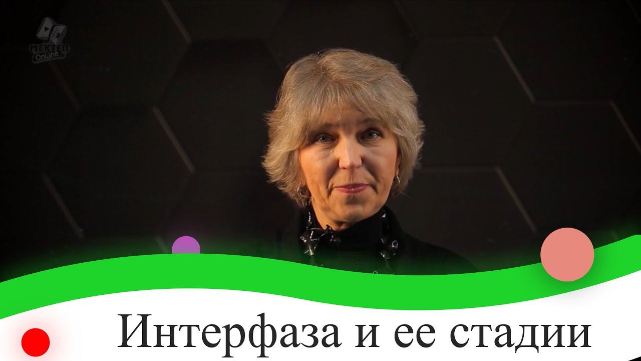 Интерфаза и ее стадии. 9 класс. смотреть онлайн