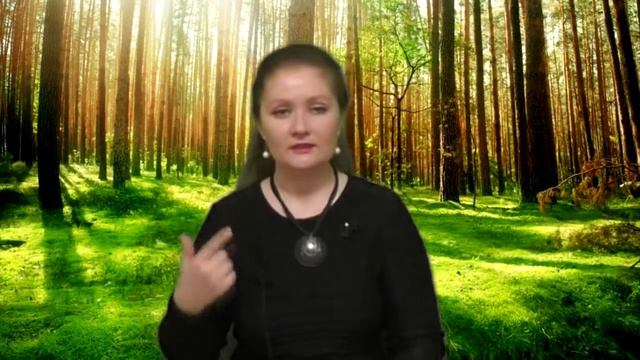 Саморазвитие с помощью создания собственного энергетического образа смотреть онлайн