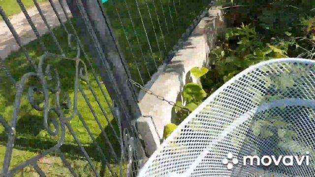 25 июля 2020 г.Как угодить мужу? смотреть онлайн