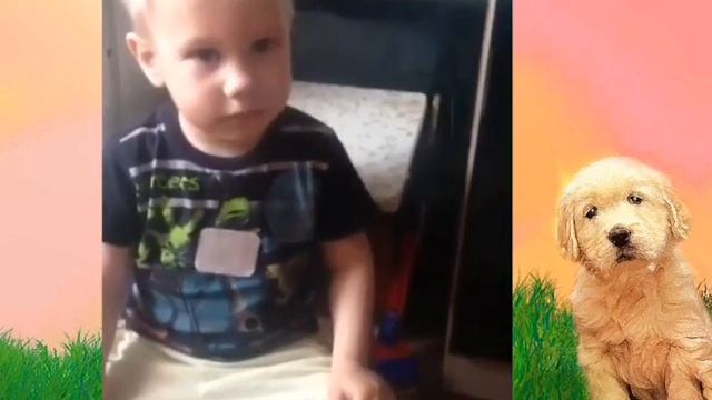 Юный меломан. Песня про собаку смотреть онлайн