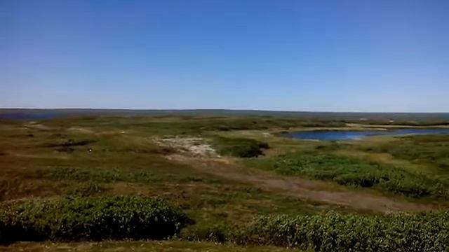 ЭТО ТУНДРА смотреть онлайн