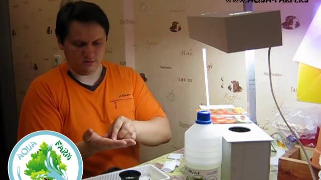 Выращивание рассады томатов за 30 дней дома! смотреть онлайн