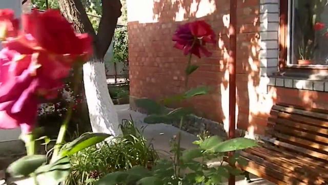 Отдых в Ейске, на Азовском море! смотреть онлайн