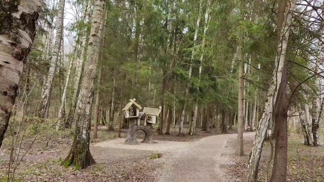 Гурьяновский лес / Обнинск. смотреть онлайн