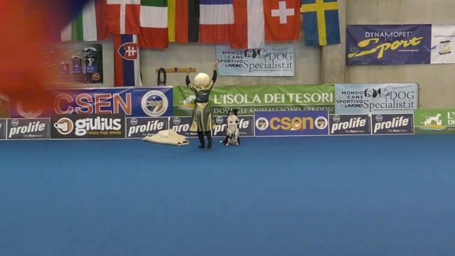 OEC 2019, Butrimova Tamila and border collie Illai смотреть онлайн