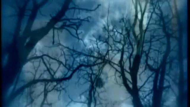 Надежда Крутова-Шестак_ПАМЯТИ.avi смотреть онлайн