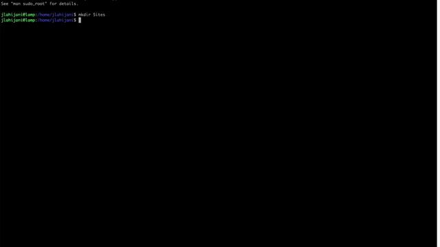 ProcessWire LAMP Development Server Setup (Ubuntu 20.04 LTS) смотреть онлайн