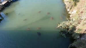 Турция. Сиде . Отель Seher Resort Spa. Отдых на море.