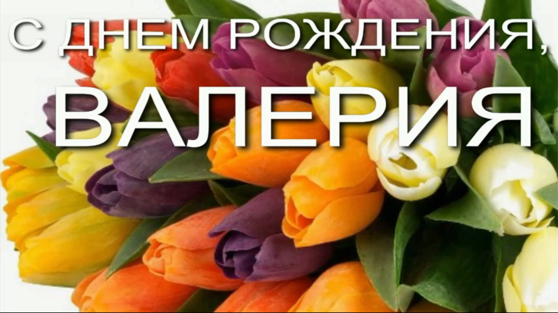 ВАЛЕРИЯ, С ДНЕМ РОЖДЕНИЯ смотреть онлайн