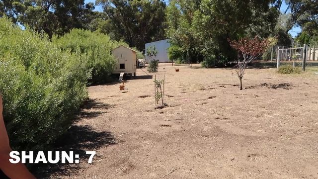 AFL FOOTY GOLF смотреть онлайн
