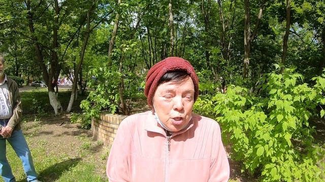 В Королёве скандал! Администрация отдает под застройку сквер на ул.Пионерская. Жители против. смотреть онлайн