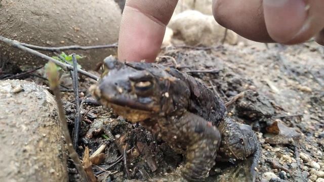 Секреты Креатива