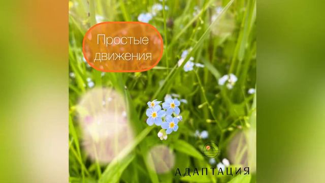 Упражнения на улице с использованием скамейки. Просто, но эффективно для тела. смотреть онлайн