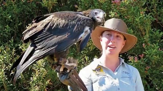 O'Reilly's Rainforest Retreat 2021 смотреть онлайн
