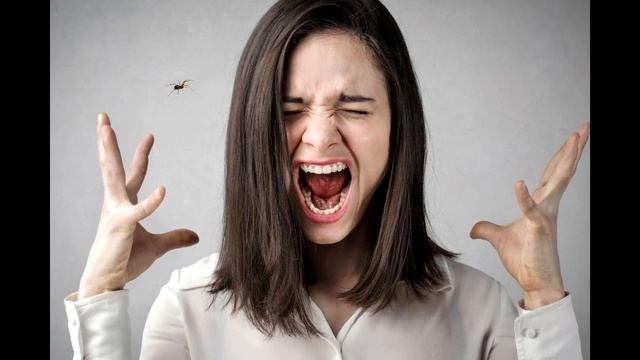 Нашла именной браслет любовницы в машине мужа Вещица дала зацепку, спасшую благополучие семьи смотреть онлайн