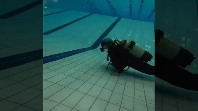 Дайвинг в бассейне первый раз смотреть онлайн