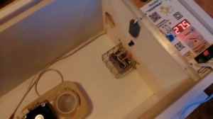 Инкубатор "Норма 72" . Влажность в автоматическом режиме.