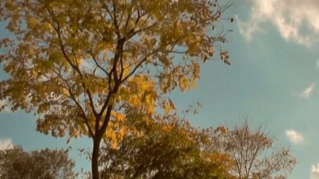 Эта Женщина в окне! смотреть онлайн