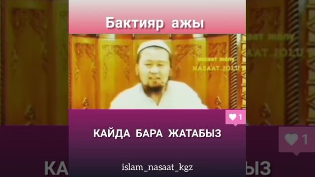 Бактияр ажы кайда бара жатабыз! смотреть онлайн