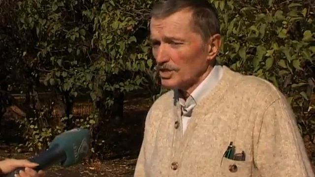 Все чаще в жилых районах можно встретить белок смотреть онлайн