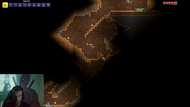 ТЕРРАРИЯ СТРИМ! Учимся играть-TERRARIA- игры для слабых пк. игры 2023 смотреть онлайн