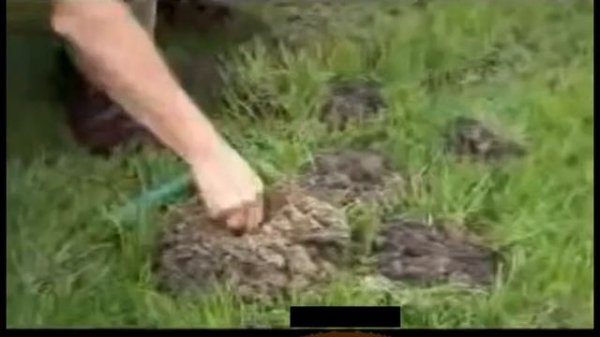 Ультразвуковой отпугиватель кротов, змей и насекомых "Weitech-WK675"