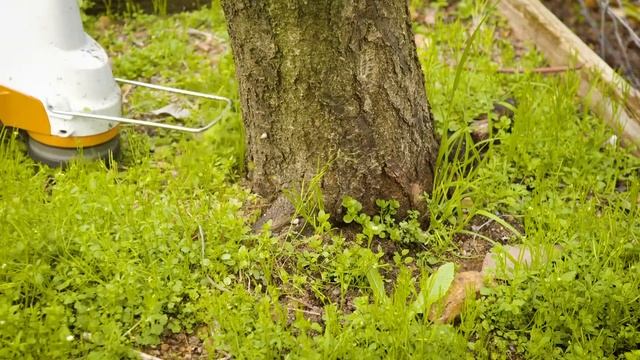 Battery Grass Trimmer STIHL FSA 57 - Test / Review: The Garden Gurus смотреть онлайн
