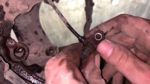 Kia Rio 2 JB. Замена  Подшипника Ступицы