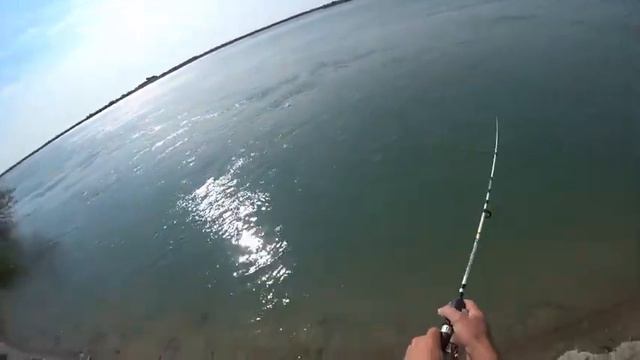 ДИКИЕ САЗАНЫ ДИКОЙ РЕКИ! ТАКИЕ ПОКЛЕВКИ НАДО ВИДЕТЬ! Рыбалка на четыре дня xOtv72FuenI смотреть онлайн