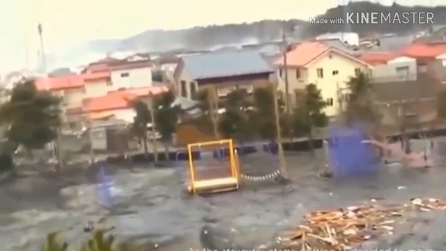 Бул видеону духу жеткендер гана көрөт.камера тасмасына тартылган коркунучтуу макулуктар. смотреть онлайн