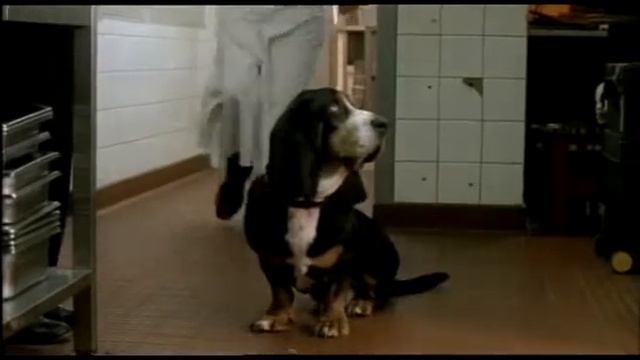 2 рождественских собаки смотреть онлайн