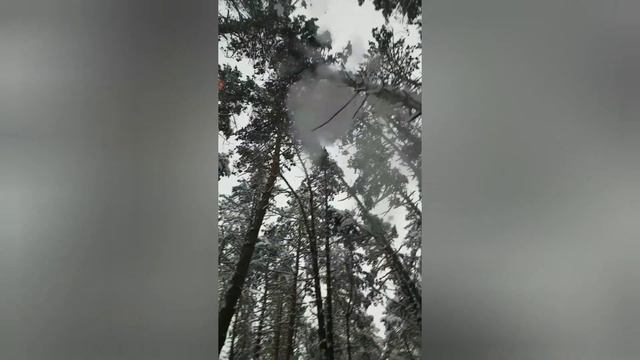 В гостях у сказки! смотреть онлайн