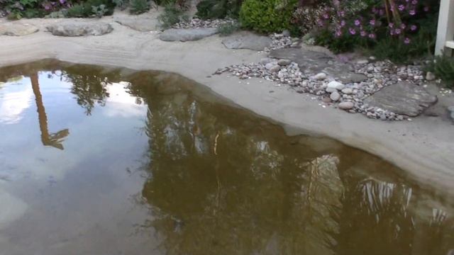 Finding Alan Titchmarsh's Garden смотреть онлайн