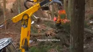 техника для леса### современная машина 2020года для заготовки леса