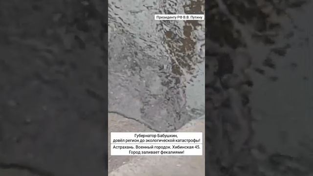 Если губернатор не отвечает на ваши дурацкие письма, значит он занят какой—то другой ерундой! смотреть онлайн