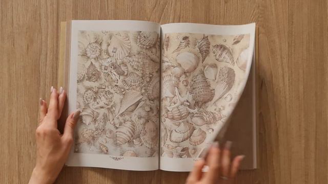 Artbook Loputyn