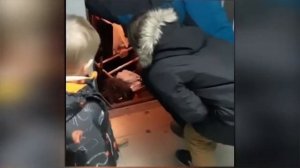 Лифт сорвался и упал в шахту! Расследуем очередной журнабред