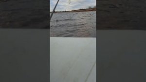 тояма 2.6 на пвх лодке 2.9 киль