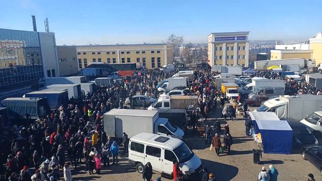 Сахарный переполох в Старом Осколе смотреть онлайн