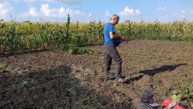 Сеем горчицу белую с помощью мотоблока Forte 105 смотреть онлайн