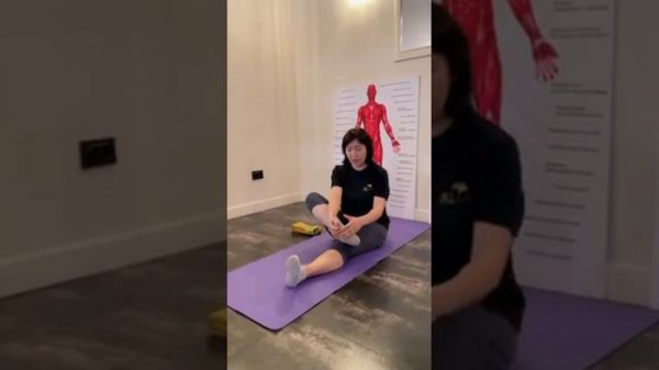 Ахиллово сухожилия