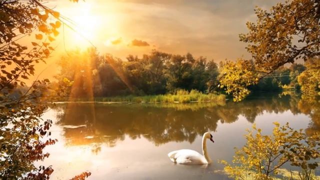 Краски осени смотреть онлайн