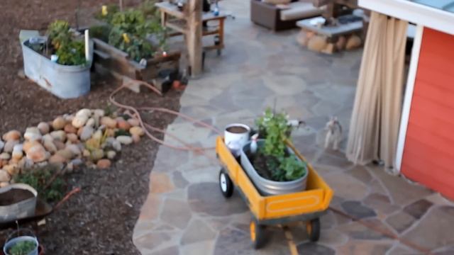 Hooterville: A Special Place and Home! - Carmel Valley San Diego 92130 смотреть онлайн