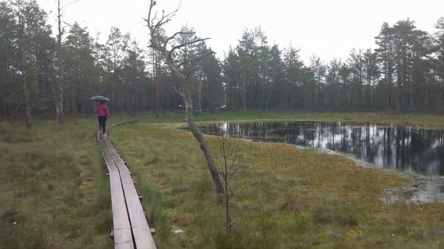 Латвия, природный парк Лахемаа смотреть онлайн