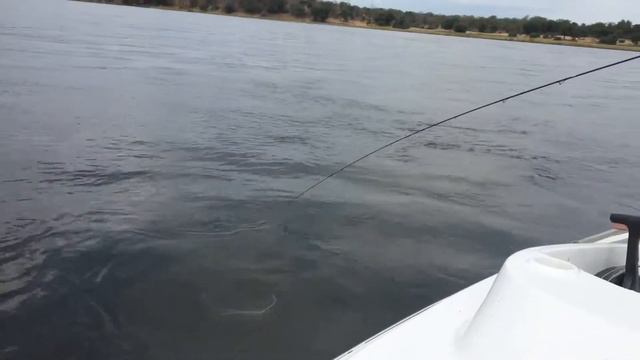 Fishing in Africa, Zambezi river .... Рыбалка в Африке! Экзотические места доя рыбной ловли смотреть онлайн