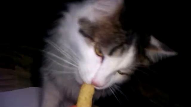 Вася употребляет кукурузные палочки 2 смотреть онлайн