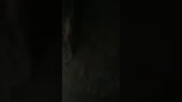 Барселона июнь 2015 Полина Сограда Фамилия Антонио Гауди гений смотреть онлайн